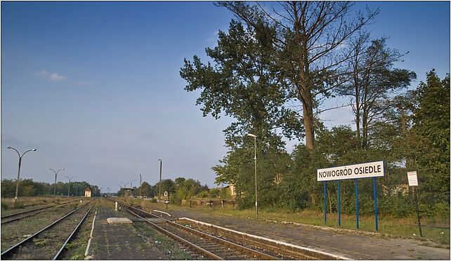 Nowogrod-osiedle-train-station1, Drzewna 3, Nowogród Bobrzański 66-010 - Zdjęcia