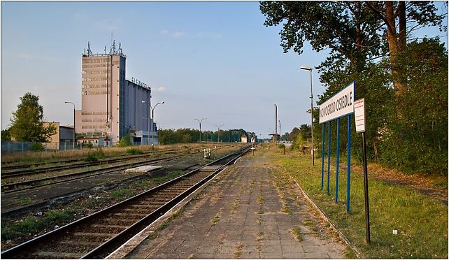 Nowogrod-osiedle-train-station2, Drzewna 3, Nowogród Bobrzański 66-010 - Zdjęcia