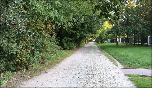 Nowoursynowska old, Nowoursynowska, Warszawa od 02-776 do 02-797 - Zdjęcia