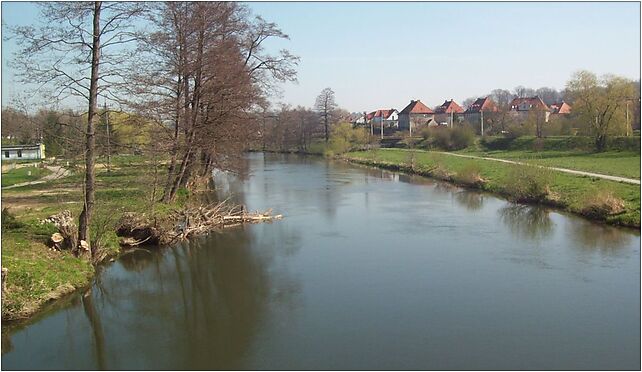 Nysa Kłodzka w Kłodzku, Korczaka Janusza, dr., Kłodzko 57-300 - Zdjęcia