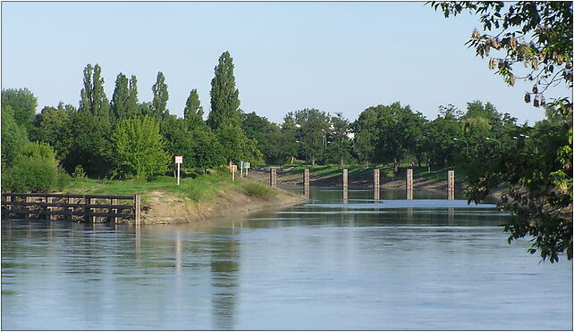 Oława 2010-06-27 - 169, Zwierzyniec Duży, Oława 55-200 - Zdjęcia