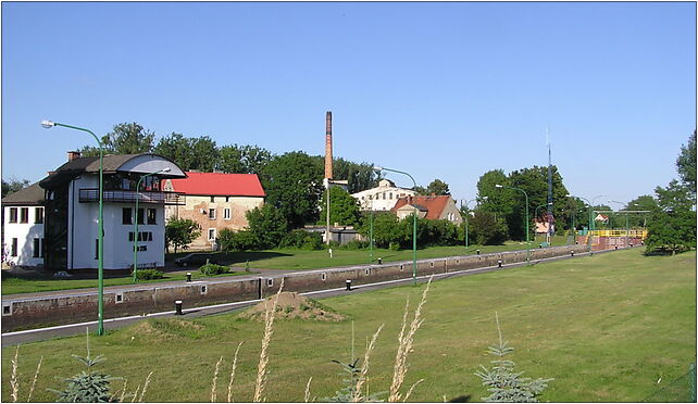 Oława 2010-06-27 - 246, Zwierzyniec Duży, Oława 55-200 - Zdjęcia