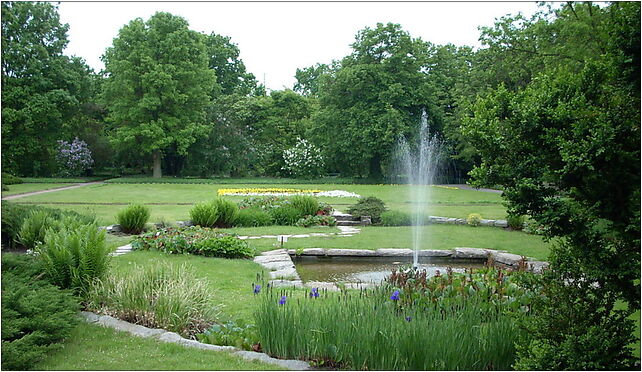 OgrodbotanicznyPoznan, Dąbrowskiego Jana Henryka 165, Poznań 60-594 - Zdjęcia