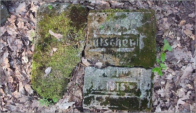 Okopy cemetery02, Gradówek, Gradówek 96-513 - Zdjęcia