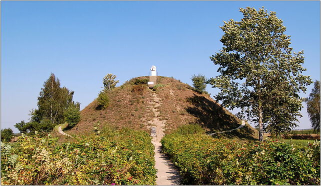 Okrzeja kopiec Sienkiewicza, Kolonia Gąszcze, Okrzeja 21-480 - Zdjęcia