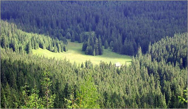 Olczysko ze Skupniów Upłazu, Myślenickie Turnie, Zakopane 34-500 - Zdjęcia
