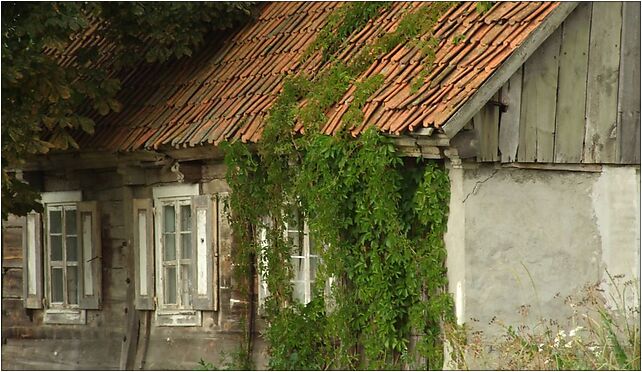 Orłowo, dřevěná chata,, Żuławska, Orłowo 82-100 - Zdjęcia