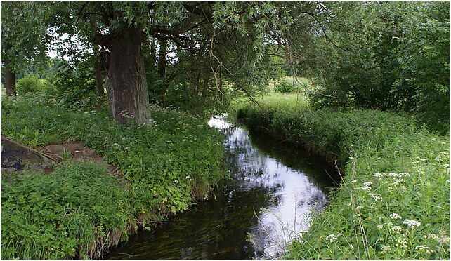 Otoczka W 2009-06, Górzyca, Górzyca 72-313 - Zdjęcia