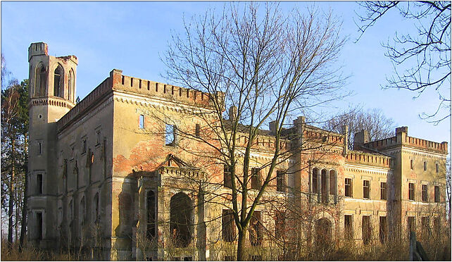 Otok Palace 2008-02b, Otok - Zdjęcia