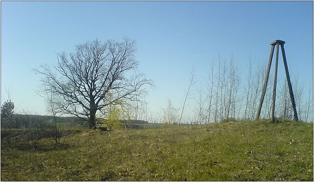 Owieczki - Góra Niemojewska - triang, Zygmuntów, Zygmuntów 98-360 - Zdjęcia