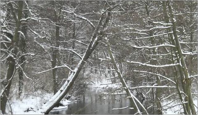 Płonia (River) in Jezierzyce (Szczecin), Grójecka, Szczecin 70-800 - Zdjęcia