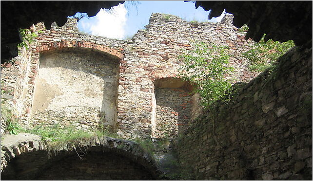 Palac Tarlow3, Zamkowa, Podzamcze 26-065 - Zdjęcia