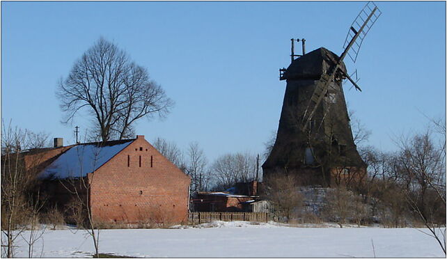 Palczewo-wiatrak zach, Palczewo, Palczewo 82-112 - Zdjęcia