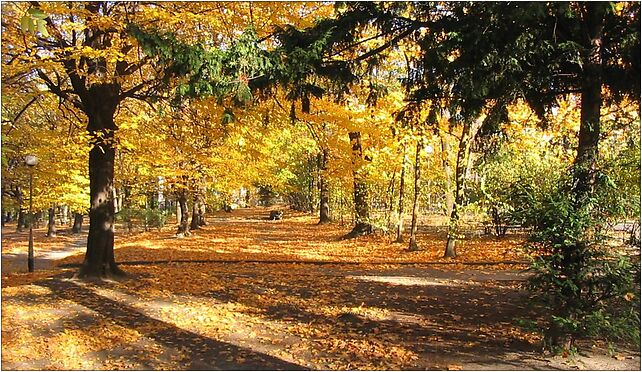 Park1000, Żeromskiego Stefana 4d, Zielona Góra 65-066 - Zdjęcia