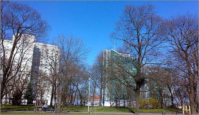 Park Drweskich Poznan, Niedziałkowskiego Mieczysława, Poznań 61-578 - Zdjęcia