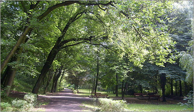 Park Fazaniec Bytom 2, Orzegowska, Bytom 41-907 - Zdjęcia