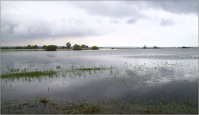 Park Ujście Warty 1, Przyborów, Przyborów 66-436 - Zdjęcia