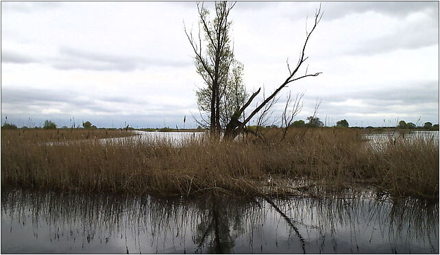 Park Ujście Warty 2, Przyborów, Przyborów 66-436 - Zdjęcia