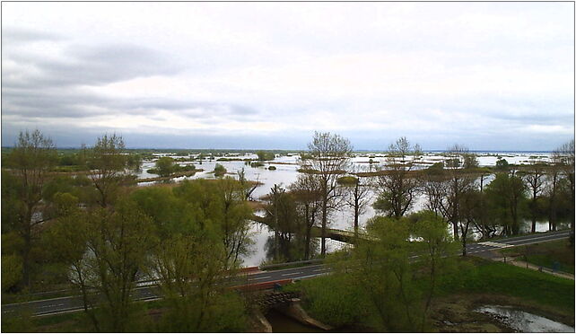 Park Ujście Warty 3, Przyborów, Przyborów 66-436 - Zdjęcia