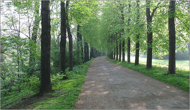 Park im. Poległych Bohaterów 1 (Nemo5576), Staromiejska, Zabrze 41-800 - Zdjęcia