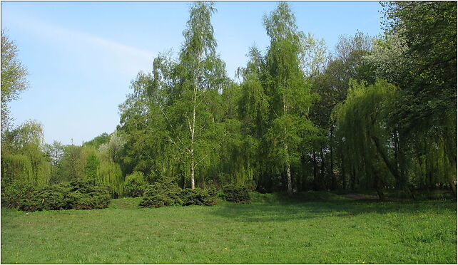 Park im. Poległych Bohaterów 3 (Nemo5576), Staromiejska, Zabrze 41-800 - Zdjęcia