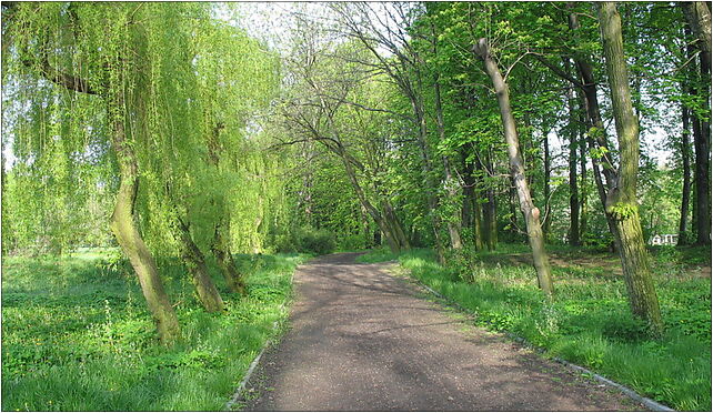 Park im. Poległych Bohaterów 4 (Nemo5576), Staromiejska, Zabrze 41-800 - Zdjęcia