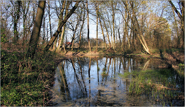 Park krajobrazowy w Dysznie, Dyszno, Dyszno 74-311 - Zdjęcia