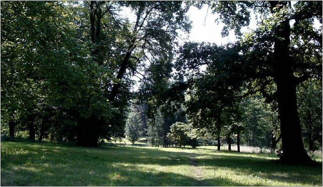 Park krowiarki, Zamkowa, Krowiarki 47-494 - Zdjęcia