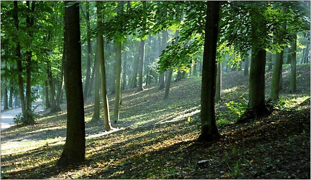 Park miejski w tczewie, Szpęgawa, Szpęgawa 83-112 - Zdjęcia