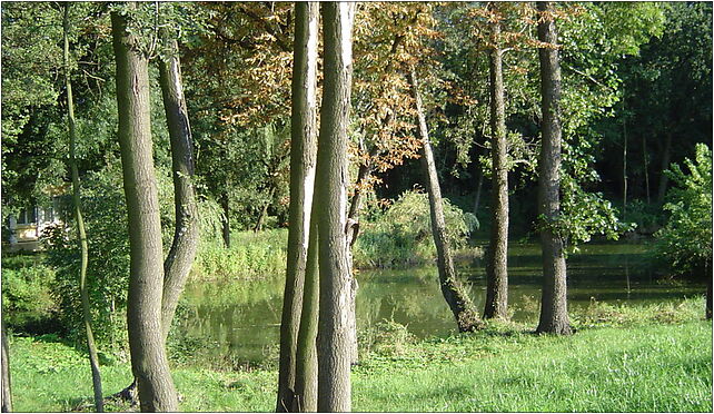 Park w Solec-Zdroj, Kościuszki Tadeusza, Solec-Zdrój 28-131 - Zdjęcia