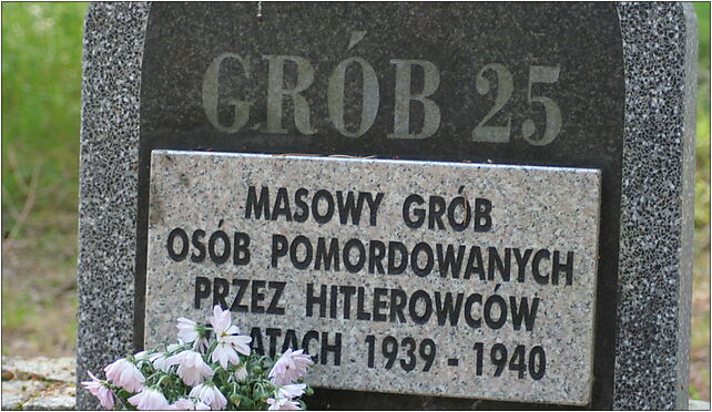 Piaśnica Forest - Mass grave 05, Warszkowo - Zdjęcia