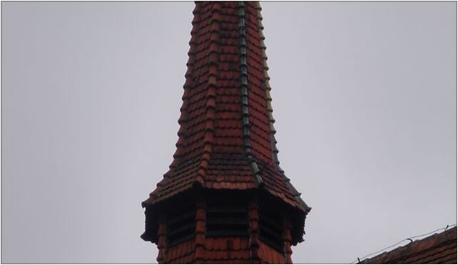 Pienki krolewskie6, Szosa Toruńska, Grudziądz 86-300 - Zdjęcia