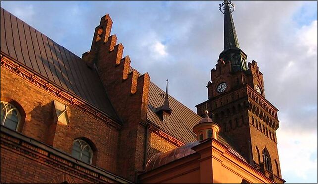 PL City tarnów cathedral church, Katedralny, pl. 4, Tarnów 33-100 - Zdjęcia