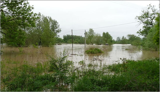 PL - Mielec - flood 2010 - Kroton 002, Rzeczna 8, Mielec 39-300 - Zdjęcia