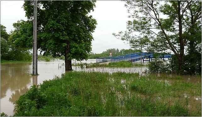 PL - Mielec - flood 2010 - Kroton 003, Rzeczna 8, Mielec 39-300 - Zdjęcia