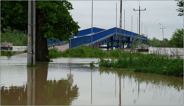 PL - Mielec - flood 2010 - Kroton 006, Rzeczna 8, Mielec 39-300 - Zdjęcia