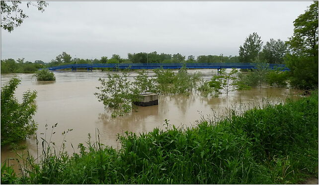 PL - Mielec - flood 2010 - Kroton 009, Połaniecka, Mielec 39-300 - Zdjęcia