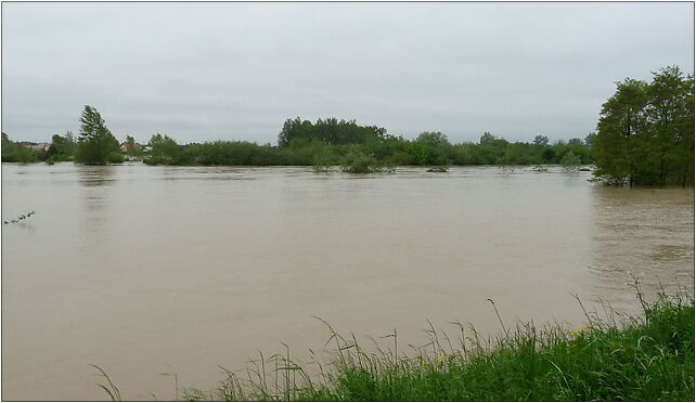 PL - Mielec - flood 2010 - Kroton 010, Połaniecka, Mielec 39-300 - Zdjęcia