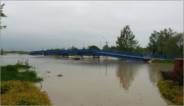 PL - Mielec - flood 2010 - Kroton 013, Rzeczna 25, Mielec 39-300 - Zdjęcia