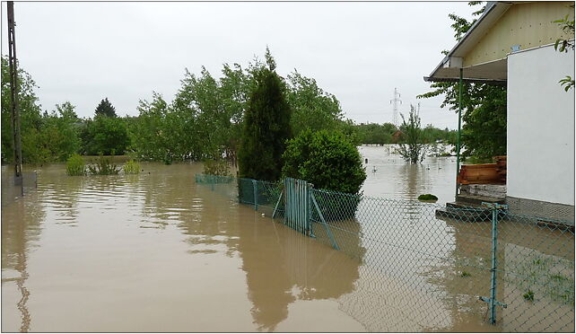 PL - Mielec - flood 2010 - Kroton 014, Kilińskiego Jana, Mielec 39-300 - Zdjęcia