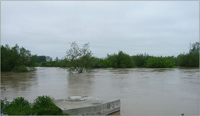 PL - Mielec - flood 2010 - Kroton 019, Kilińskiego Jana, Mielec 39-300 - Zdjęcia