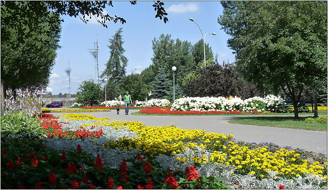 PL - Mielec - park behind Municipal Public Library - Kroton 001 39-300 - Zdjęcia