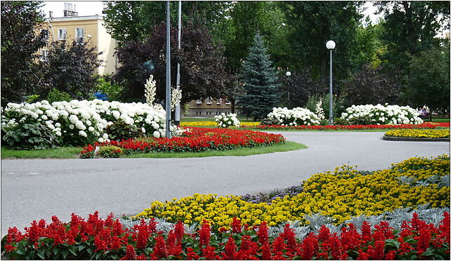 PL - Mielec - park behind Municipal Public Library - Kroton 002 39-300 - Zdjęcia
