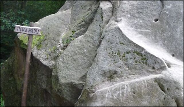 PL - Nature reserve Skamieniale Miasto - Kroton 003, Krynicka 33-191 - Zdjęcia