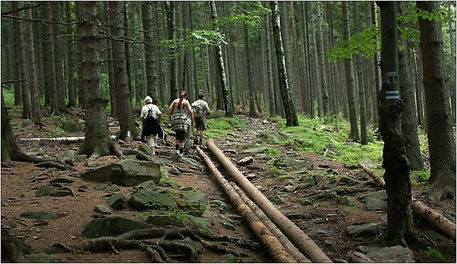 Podejście pod Trojak PL, Solna Droga, Lądek-Zdrój 57-540 - Zdjęcia