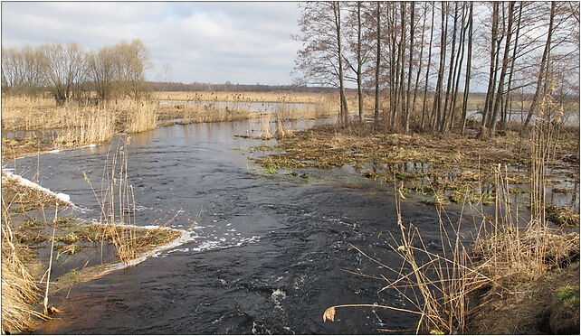 Podlaskie - Choroszcz - Rzędziany-Pańki Narew floodplains - 0,82km - NE - Zdjęcia