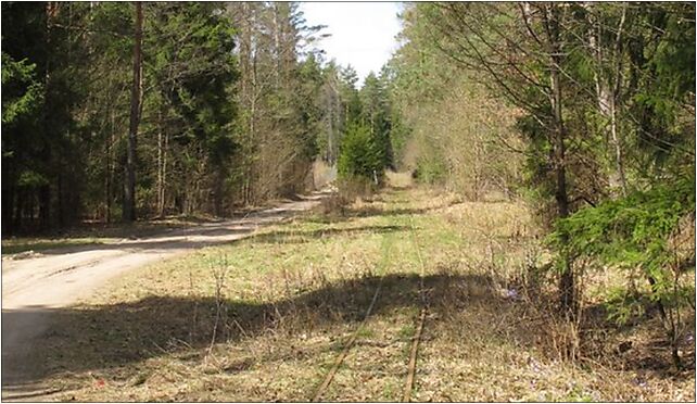 Podlaskie - Czarna Białostocka - KFNGR - Czeremchowa Tryba-Buksztel - 1,8km 16-020 - Zdjęcia