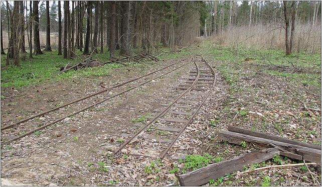 Podlaskie - Czarna Białostocka - KFNGR - Czeremchowa Tryba - rozjazd - N 16-060 - Zdjęcia