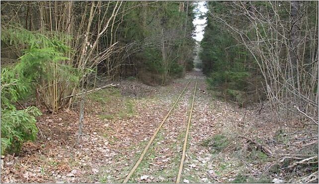 Podlaskie - Czarna Białostocka - KFNGR - Zacisze Trójkąt-Czeremchowa Tryba - 2,0km 16-060 - Zdjęcia