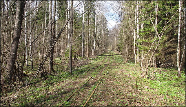 Podlaskie - Czarna Białostocka - KFNGR - Zacisze Trójkąt-Czeremchowa Tryba - 2,2km 16-060 - Zdjęcia
